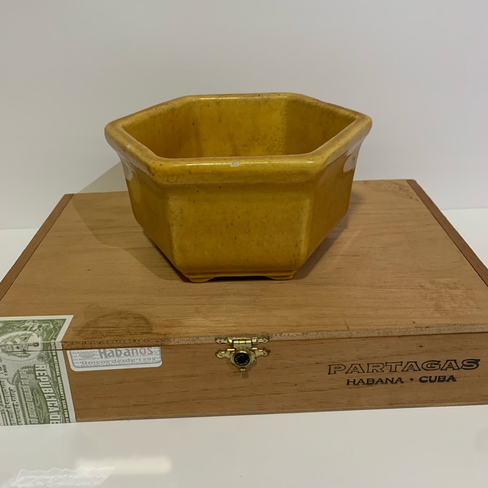 1950’s MCM Haeger pottery
